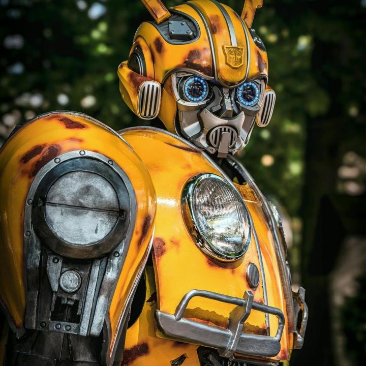 Bumble Bee Bot